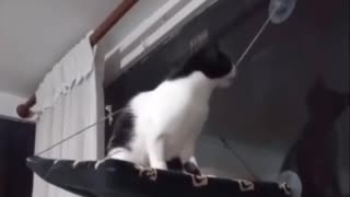 🤯 Taking Bad Choices to a New Level | FunFM