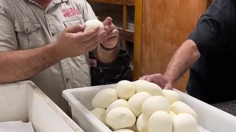 GIANT SNAKE EGGS🙌 I had to wear a jacket for this one because the mom was not to happy with me😅