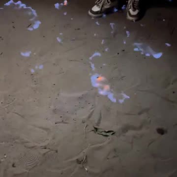 Meanwhile in Bangladesh