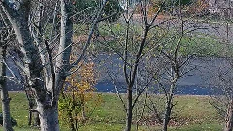 73rd birthday unicycle ride