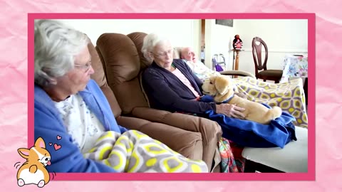 ¡UN PERRITO ROBOT PARA ABUELITOS! | "Jennie" es un lomito apto para ser cuidado por adultos mayores