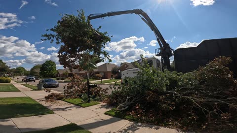 How two Guys did a Tree and Stump Removal Job