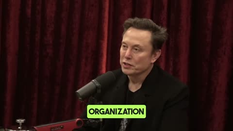 Elon Musk Explains How the Government Can Save $100 Billion a Year