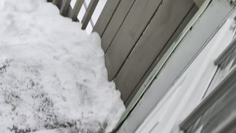 Checking In (January 2026)