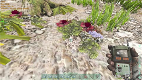 no voice 1-04-2026 ASE Aquatica found seaweed 064