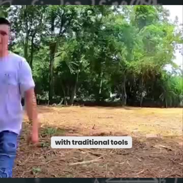 This Machine Obliterates Bushes in Seconds!