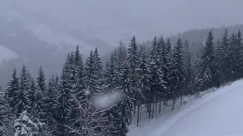 Skier Tumbles Down a Minor Drop