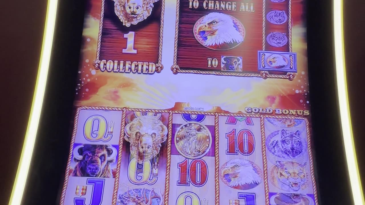 Bonus Round on Buffalo Gold 💥🎰🎉