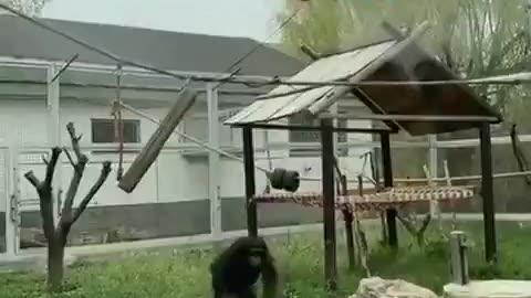 Smart