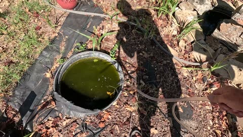 💧 Off-Grid Water Power | Compact Pump for RVs & Homesteads