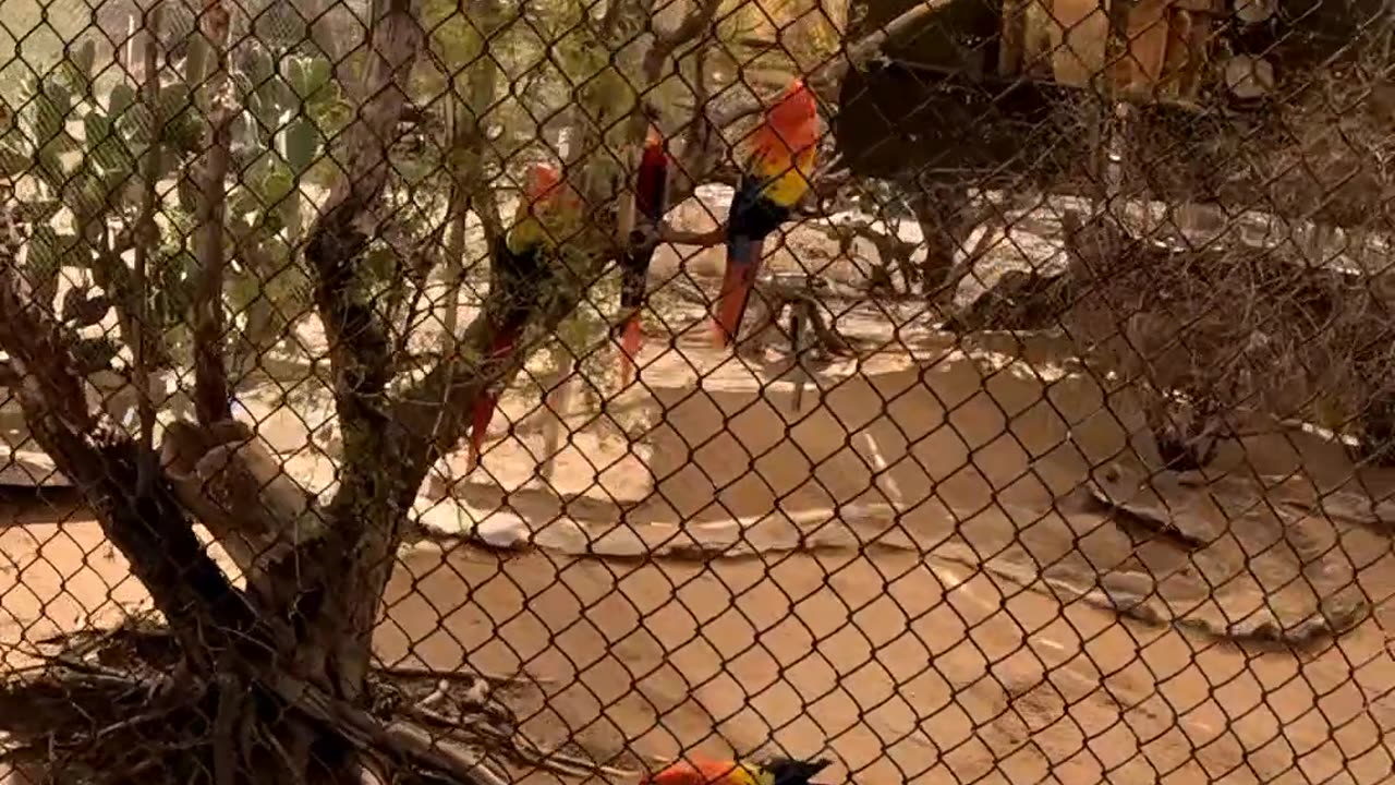 Hermosillo Zoo in Sonora Mexico