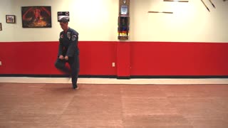 Short Form Three (3)