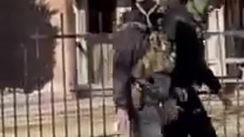 Fort Collins, Colorado | January 12th 2026 (Check Description)