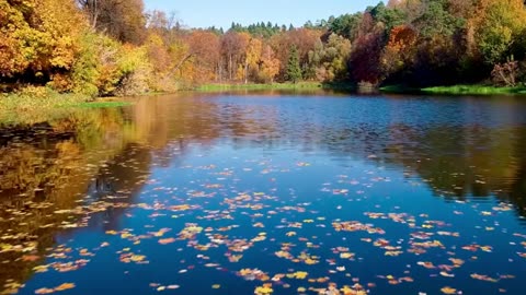 R&B Reflections After Dark