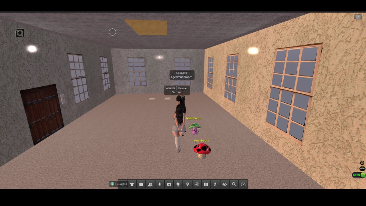 Second Life