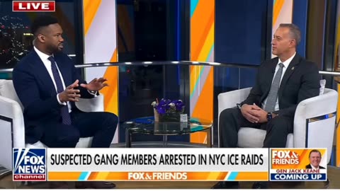 I.C.E. Challenge : How To Arrest Illegal Aliens in A Sanctuary City Like NYC