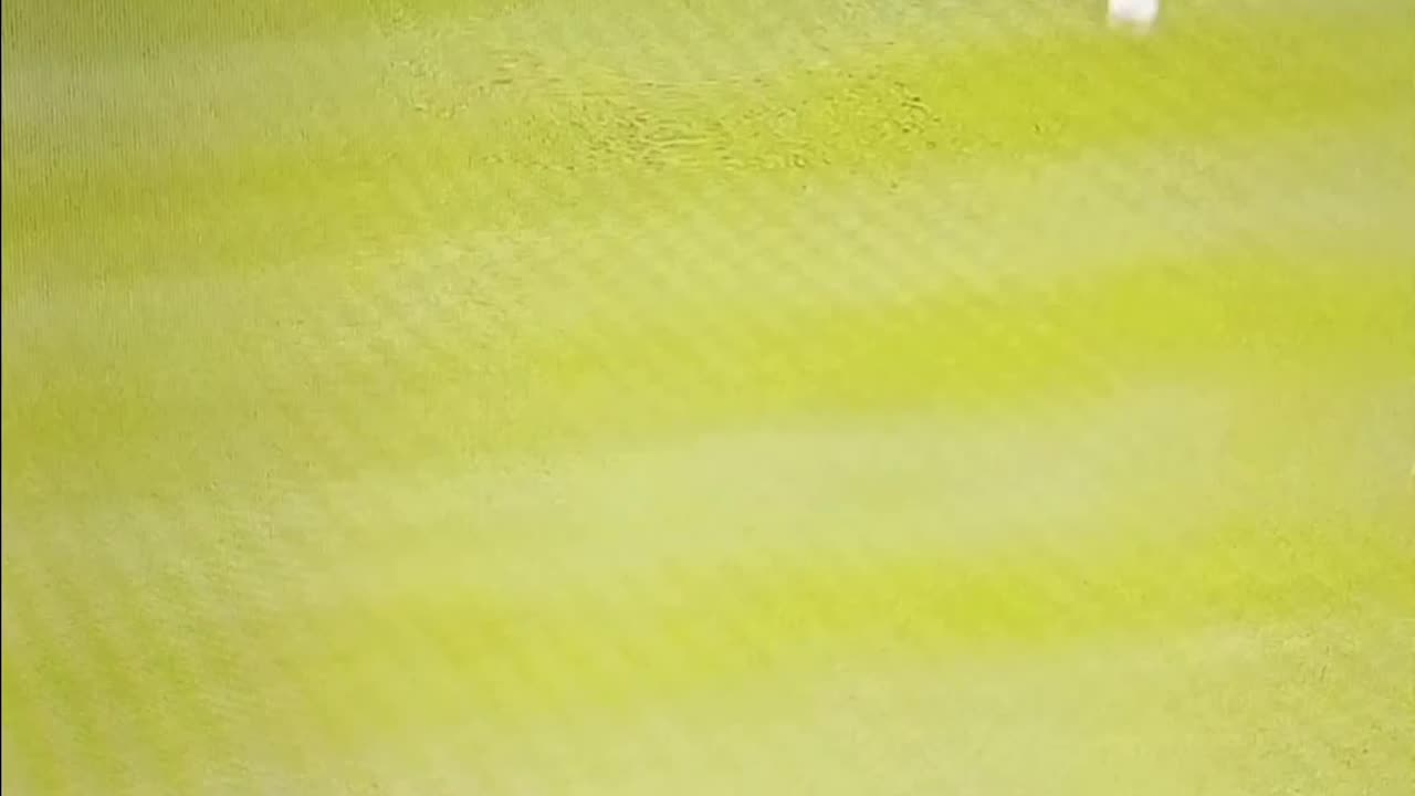 Big 99 shows up for the Yanks