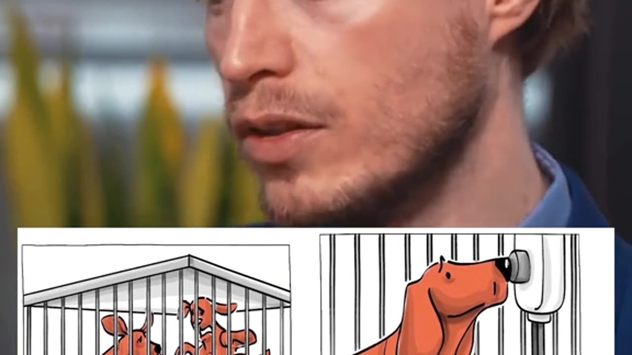 Antrainierte Hilflosigkeit