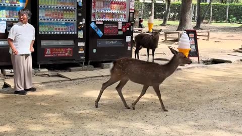 Surprice moments 😂😂