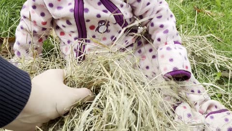 It’s a hay day for Baby Kayla! 🌾🐇