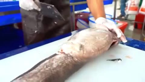 Fish Catching, Cutting, Cooking