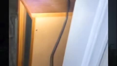 😱👻 #ghostlytoksa OUIJA BOARD WARNING Signs | TheHauntingHour