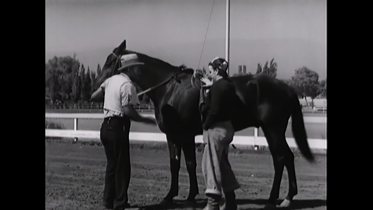 That Gang of Mine (1940) Full movie | Comedy