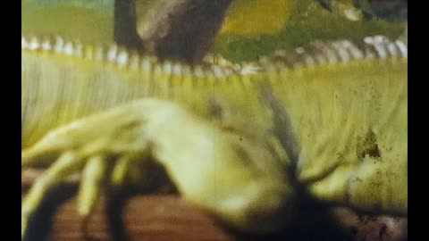 Steve,Fred and Henry