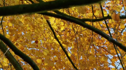 ŁOWCY 3 dokument pl