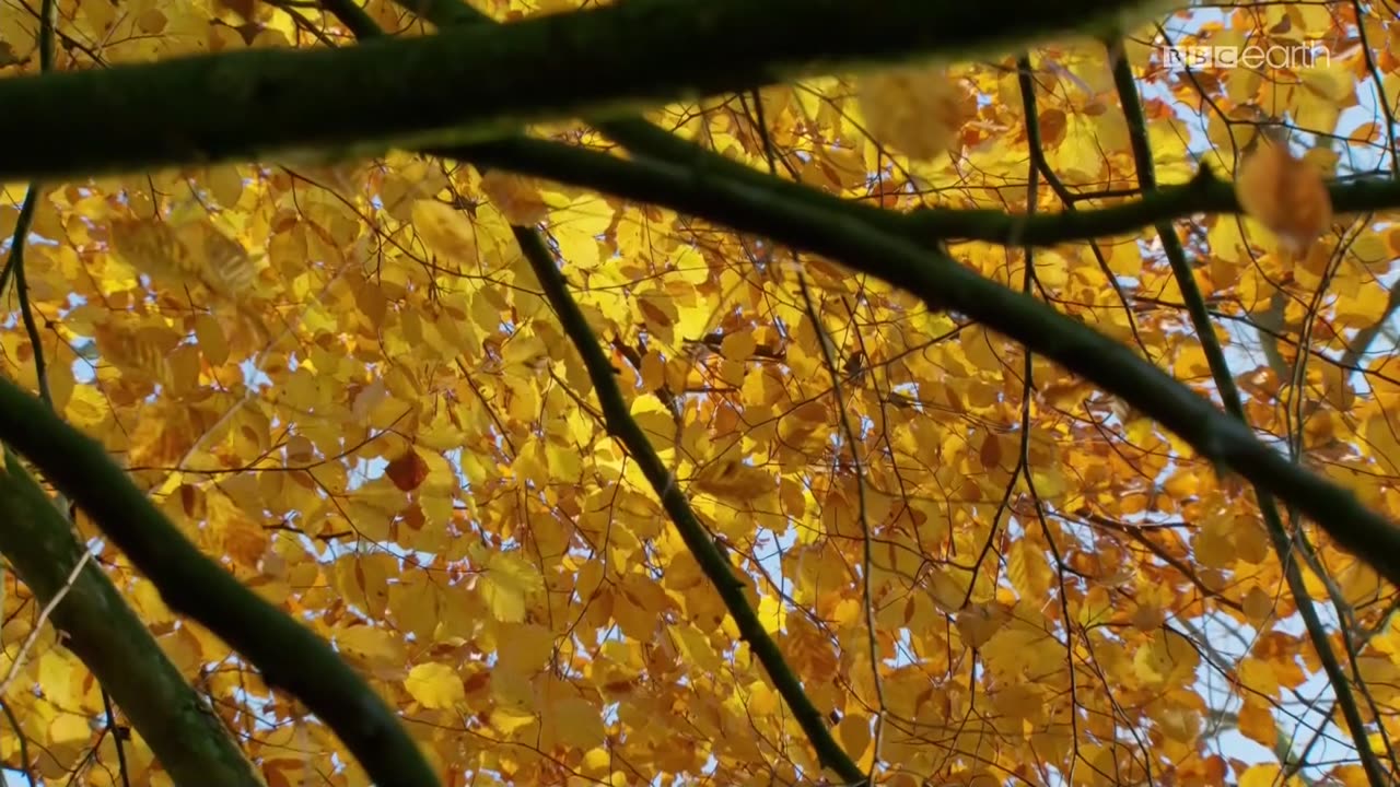 ŁOWCY 3 dokument pl