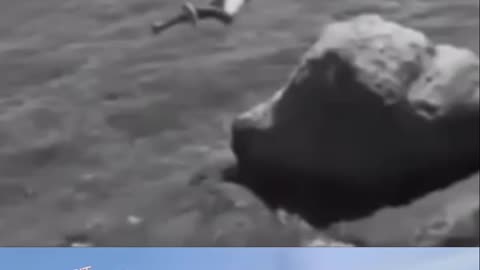 Only dangerous videos