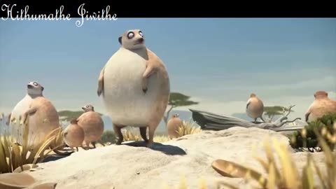 What If Animals Were Round🤣 | BEST Compilation 🔥Most Trending Animal Videos