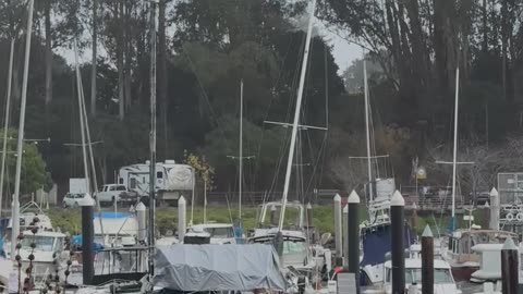 Swell Surging Through Santa Cruz Harbor