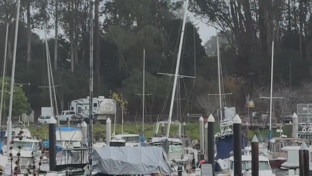 Swell Surging Through Santa Cruz Harbor