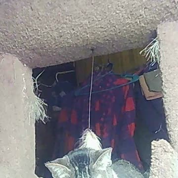 EA S133 - Can't Get Comfortable