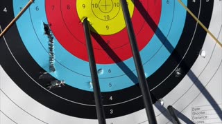 🏹 The arrow flies true! 🎯