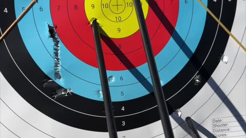 🏹 The arrow flies true! 🎯