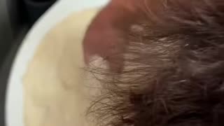 She was SO MAD!!🤣 She HATES roaches!!