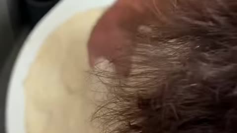 She was SO MAD!!🤣 She HATES roaches!!