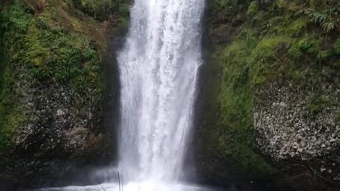 Daily Horoscope | Aquarius 🌟