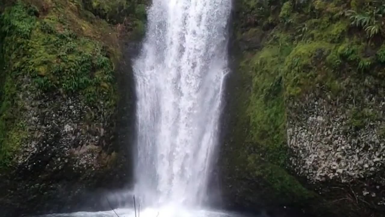 Daily Horoscope | Aquarius 🌟