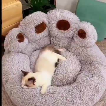 Comfortable And Fluffy Little Pet Nest for Puppies And Kittens