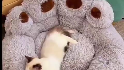 Comfortable And Fluffy Little Pet Nest for Puppies And Kittens