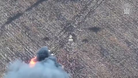 NSFW! A Russian Bukhanka Pickup Truck with Infantry is destroyed with FPV drones