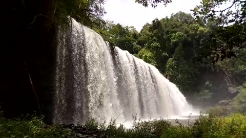 Forest waterfall 🌊👂