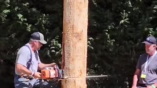 Logger Games