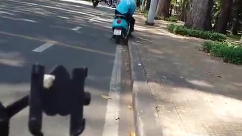 fatty demon pig - 2025 - YT - February 27th part 001