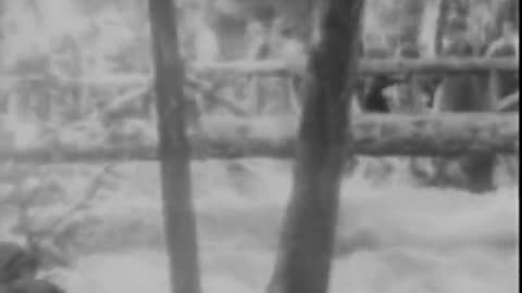 Hall of Giants: Yosemite National Park and the CCC (1935)