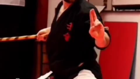 Hapkido