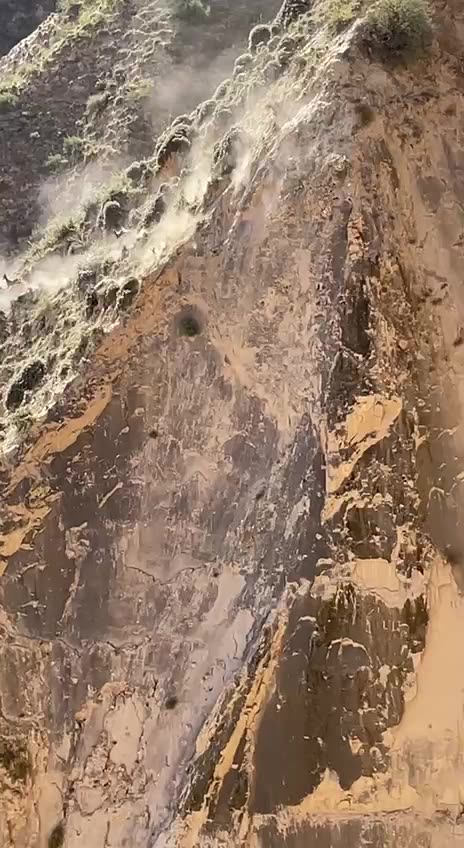 Awesome abilities of the mountain goats